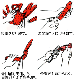 タラバガニのじょうずなお召し上がり方1